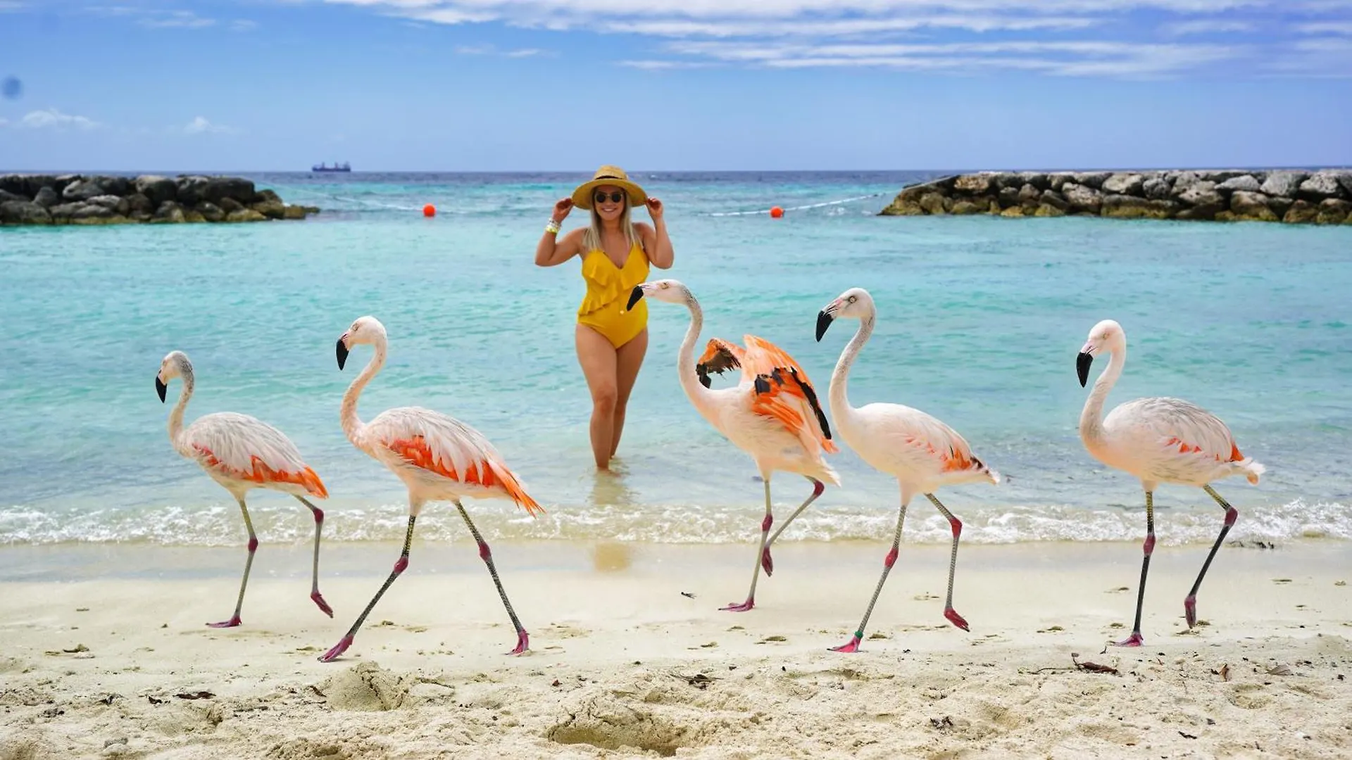 Arubas Life 200 Lejlighed Noord 0*,  Aruba
