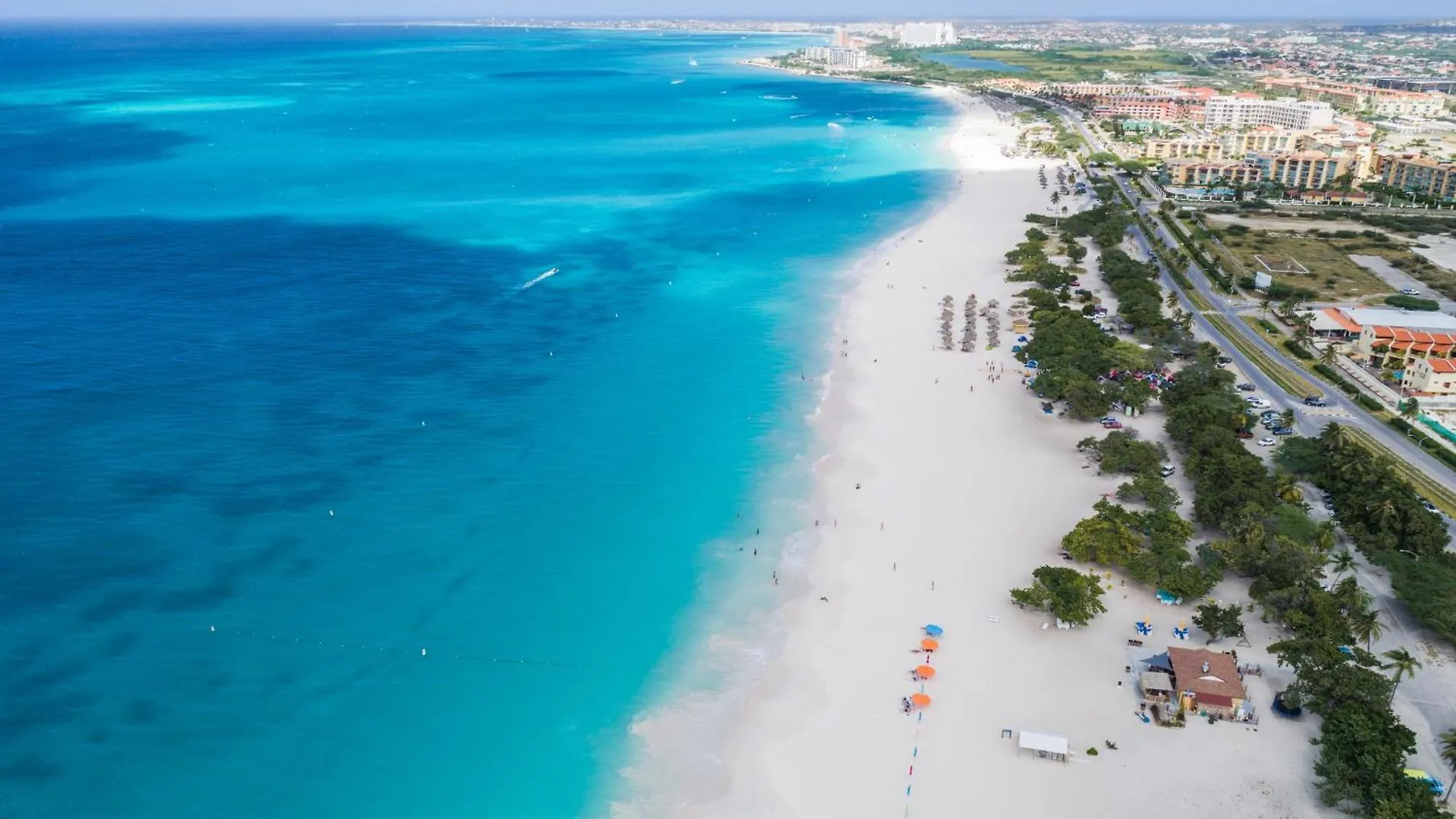 Arubas Life 200 Lejlighed Noord Aruba